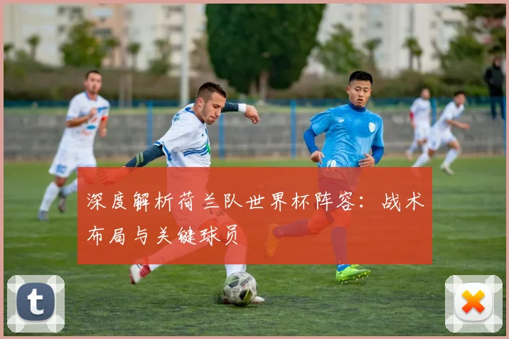 深度解析荷兰队世界杯阵容：战术布局与关键球员