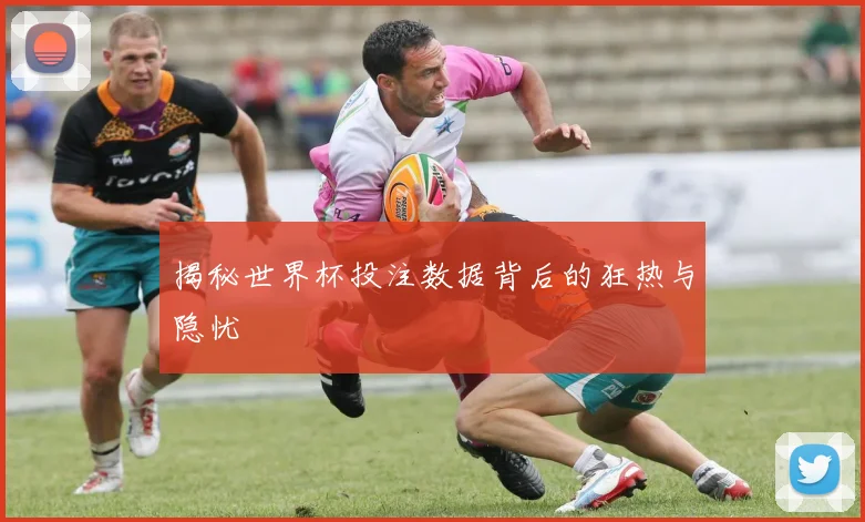揭秘世界杯投注数据背后的狂热与隐忧
