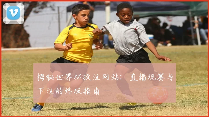 揭秘世界杯投注网站：直播观赛与下注的终极指南