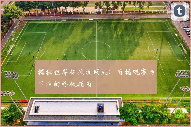 揭秘世界杯投注网站：直播观赛与下注的终极指南