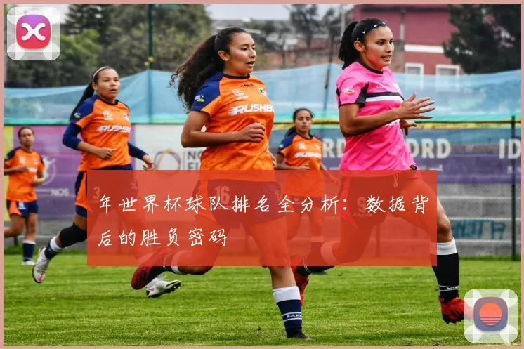 年世界杯球队排名全分析：数据背后的胜负密码