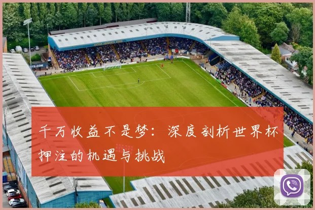 千万收益不是梦：深度剖析世界杯押注的机遇与挑战