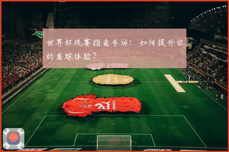 世界杯观赛指南专访：如何提升你的看球体验？