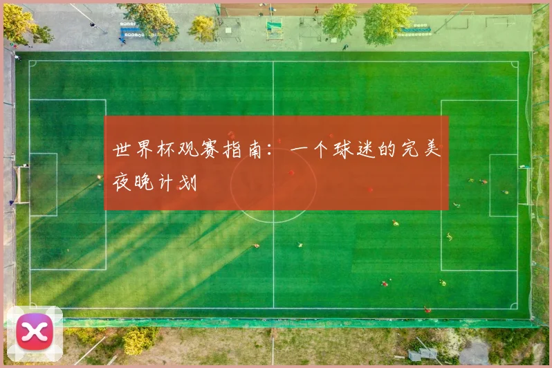 世界杯观赛指南：一个球迷的完美夜晚计划